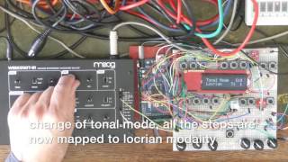 Wobbledog jam session with moog amp korg [upl. by Joiner]