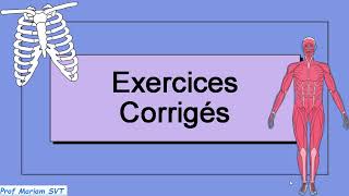 Exercices ATP amp MUSCLE Partie 7 🔥🔥 2bac SVT  2 bac PC [upl. by Craig]