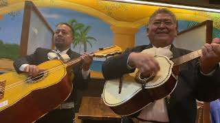 El Barrilito  Mariachi Emperadores De Mexico Galveston 1 582024 SalsasRestaurant [upl. by Erminia135]