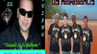 Os Hawaianos  Medley [upl. by Jammal]