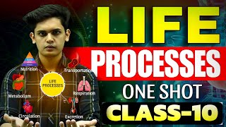 Life Processes Complete Chapter🔥 CLASS 10 Science  NCERT Covered Prashant Kirad [upl. by Araminta]