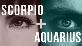 Scorpio amp Aquarius Sun Love Compatibility [upl. by Eisdnyl141]