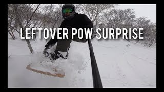 Leftover Pow Surprise [upl. by Naffets]