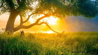 Beautiful Relaxing Hymns Peaceful Instrumental Music quotMonday Morning Sunrisequot [upl. by Nerraf]