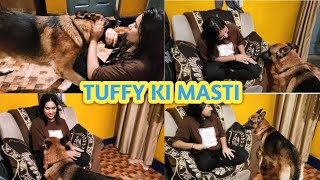 TUFFY Ki Masti Dogs love with owner Secret Signs your Dog Loves You  German shepherd Dog [upl. by Aneekas]