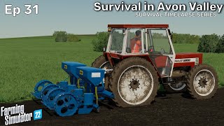 PLANTING CORN  SURVIVAL IN AVON VALLEY  Ep31  FS22 Survival Timelapse Series starting with 0 [upl. by Aicemak244]