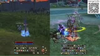 Lineage 2 Aden e Live EU Server será que vem tudo funcionando normal amanhã [upl. by Strait]