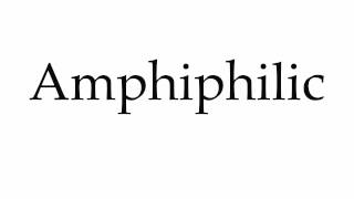 How to Pronounce Amphiphilic [upl. by Esli]