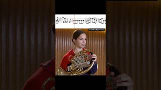 Mozart Horn Concerto No 4 – III Rondo classicalmusic frenchhorn mozart horn [upl. by Palmore]