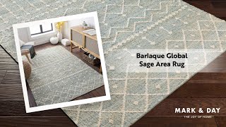 Barlaque Global Sage Area Rug [upl. by Atina483]