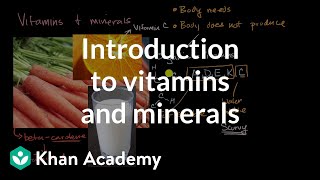 Introduction to vitamins and minerals  Biology foundations  High school biology  Khan Academy [upl. by Larena]