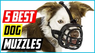 Best Dog Muzzles 2021 Top 5 Picks [upl. by Suiravaj]