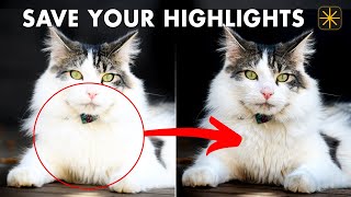 Overexposed Highlights Insane Detail Recovery Trick in Luminar Neo [upl. by Magbie]