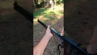 Most powerful lever action versus rotten eggs [upl. by Nauqad]