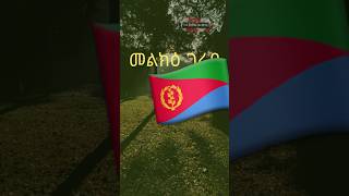 The Eritrean Show 🇪🇷3 eritrea eritrean eritreanshorts eritreantiktok eritreanmusic habesha [upl. by Ecitnerp]