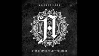 Architects  Naysayer Official HD Live Video [upl. by Boothman]