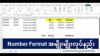 Excel Number Format အမျိုးမျိုးလုပ်နည်း [upl. by Janeczka]