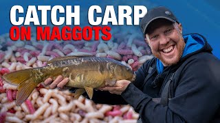 Catch Carp On Maggots  Basics Pole Fishing Guide [upl. by Anomor]