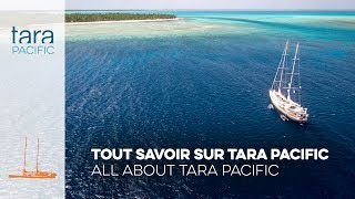 Tara Pacific Tout savoir sur Tara Pacific  All about Tara Pacific [upl. by Gerrilee467]