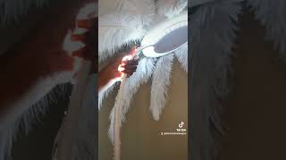 DIY Ostrich feather lamppalm tree [upl. by Ahcsas]