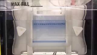 Gel electrophoresis timelapse video SDSPAGE [upl. by Jenna]