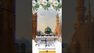 Zindagi Yeh Nahi hai Kisi Ke Liye Zindagi Hai Nabi ﷺ Ki Nabi ﷺ Ke Liye trending RazviSayyed [upl. by Elberfeld]