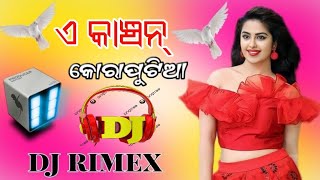 A KANCHAN New koraputa dj song 2024 ଏ କାଞ୍ଚନ୍Desiadjsong79nbdj [upl. by Idnew927]