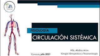 Fisiología de la Circulación Sistémica 1 [upl. by Isaiah]