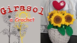 Guía paso a paso para tejer girasoles de doble pétalo [upl. by Enylecoj]