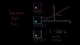 Lineweaver Burk Plots PART 1 Introduction to Enzyme Kinetics Biochemistry MCAT [upl. by Kwan]