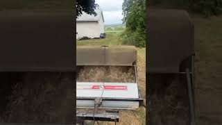 How to collect thatch  dethatching made easy [upl. by Arze]