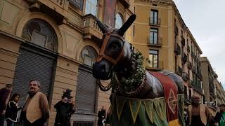 450Mulassa Cercavila de Mulasses per Santa Eulàlia  Gegants I [upl. by Flint]