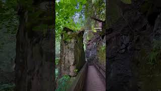 Explore Mono Cliffs’ Caves Cliffs and an Old Canyon  15 Hours from Toronto travel canada [upl. by Anyaj245]