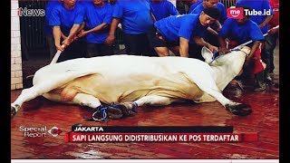 Sapi 15 Ton Milik Presiden Jadi yang Pertama Disembelih di Masjid Istiqlal  Special Report 2308 [upl. by Salhcin]