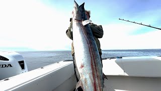 140 Miles Offshore Fishing for MASSIVE Fish Galveston Texas [upl. by Marmion331]