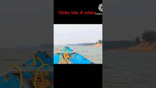 Chilka lake  boating  dolphins  odisha [upl. by Ula]