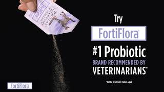 Try FortiFlora for Cats and Dogs with Diarrhea [upl. by Long]