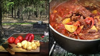 ВКУСНЕЙШИЙ БОГРАЧ Венгерский гуляш по закарпатски возле озера [upl. by Nothgierc]