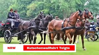 Kutsche fahren auf der Kutschenwallfahrt in Telgte 2018 [upl. by Agosto741]