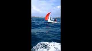 Skiff Flying Ant Hard Yakka [upl. by Araes]