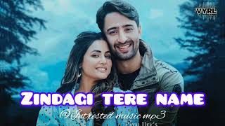 zindagi tere name kar di songs new songsPresenting quotZINDAGI TERE NAAM Songquot [upl. by Airamasor]