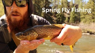 Spring Fly Fishing  Colorados South Platte River [upl. by Brianne]