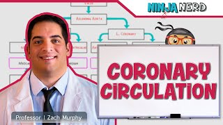 Circulatory System  Coronary Circulation [upl. by Notneiuq]