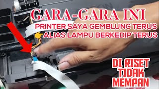 Mengatasi Lampu Berkedip Bersamaan pada Printer Epson L220 L360 L365 L455 L565 L655 L3110 [upl. by Reggi]