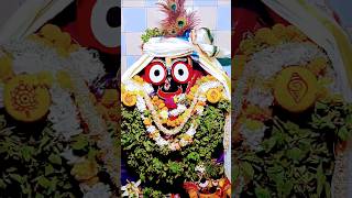 Balbhadra Subhadra Jagannath Ratna singhasana Hare Krishna Hare Ram ⭕❗⭕✨🙏🌺🏵️💐21120241300love [upl. by Eilzel]