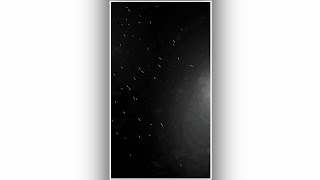 Black Screen Start Video Effect  Template Video Background Full Screen Kinemaster [upl. by Vaish]