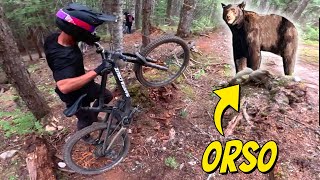 INCONTRO RAVVICINATO CON UN ORSO IN BICI ☠️ redbull joyride [upl. by Barnum]