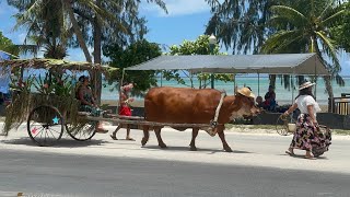 CNMI celebrates 78th Liberation Day [upl. by Vivle982]