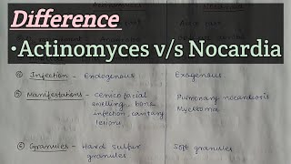 Difference  Nocardia vs Actinomyces [upl. by Kylen91]