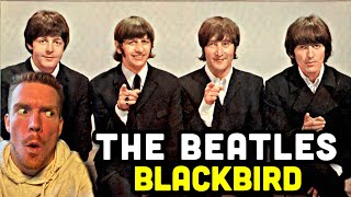 The Beatles  Blackbird REACTION [upl. by Ilsa477]